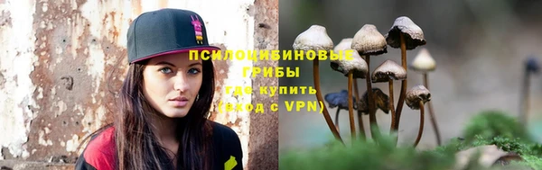 марки lsd Белокуриха