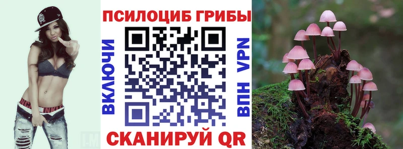 Галлюциногенные грибы Cubensis Всеволожск